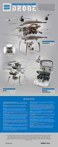 infographic-drone-v3-with-glossary-final-v4