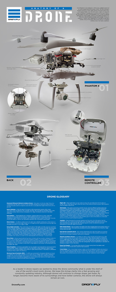 The Inside of a DJI Phantom 4 - Interesting - DroneTrest