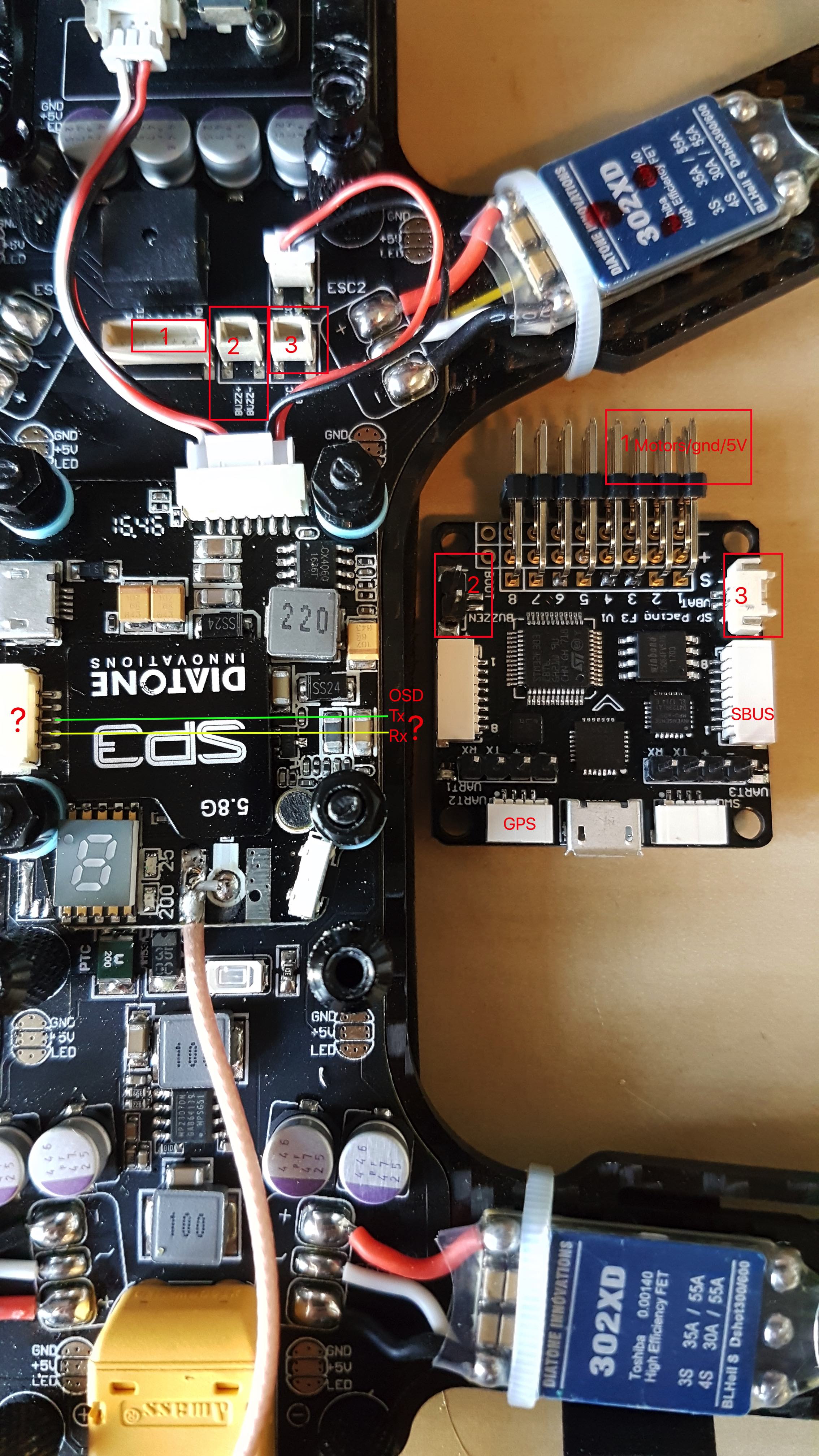 Diatone tyrant s discount